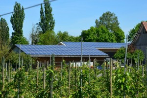 efficientamento energetico aziende agricole a Brescia, installazione pannelli fotovoltaici e batterie di accumulo