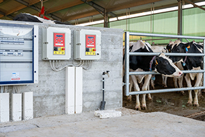 rifacimento impianti stalle nelle aziende agricole, efficientamento energetico e riduzione dei costi